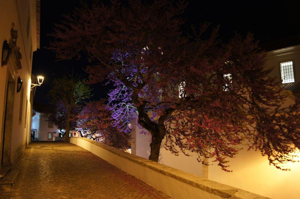 Pousada Conde de Ourém Exterior foto